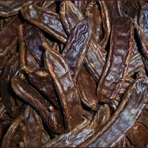 Pudra de roșcove, substituent de cacao în alimentația bebelușului