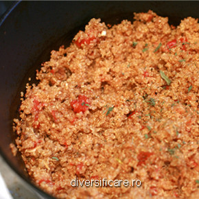 Quinoa cu hribi (de la 1 an)