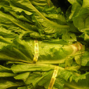 salata romană